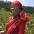 Smiling woman standing in a field